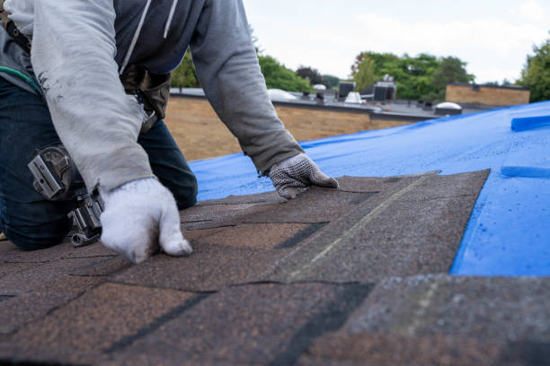 Steel Roofing in Palm Harbor, FL